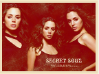 Secret Soul
