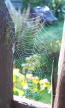 web2